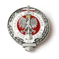 POLISH ARMY WOJSKO POLSKIE widok pod kątem