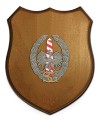 Ryngraf Straż Graniczna