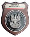 Ryngraf WOT Territorial Defense Forces front