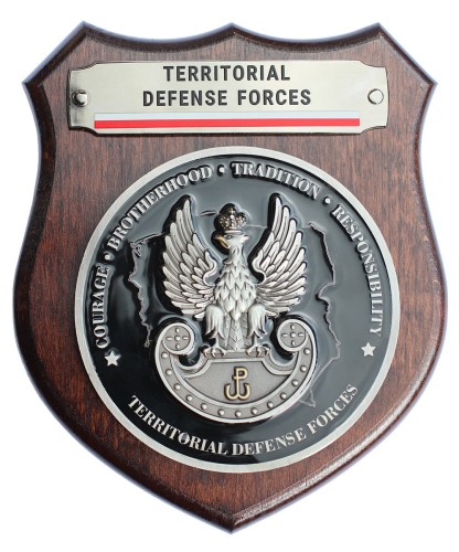 Ryngraf WOT Territorial Defense Forces front