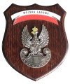 Ryngraf Wojska Lądowe front