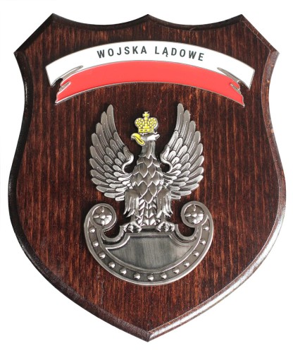 Ryngraf Wojska Lądowe front