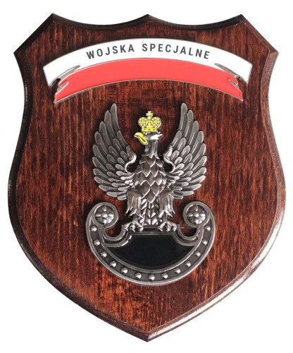 Ryngraf Wojska Specjalne z przodu