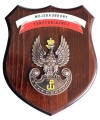 Ryngraf Wojska Obrony Terytorialnej