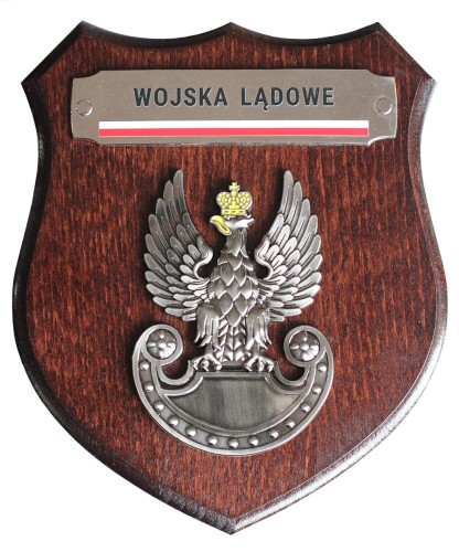 Ryngraf Wojska Lądowe front