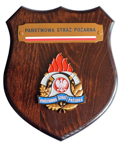 Ryngraf PSP od przodu