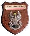 Ryngraf Wojska Specjalne
