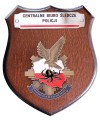 Ryngraf Centralne Biuro Śledcze Policji