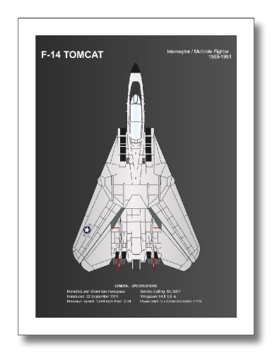 F-14 TOMCAT