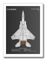 McDonnell Douglas F-15 Eagle TECHNICAL DATA