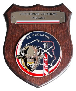 RYNGRAF ZZ PODLASIE Bezpieczne Podlasie 18 Dywizja Pułk Artylerii