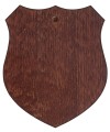 Ryngraf ZZ Podlasie