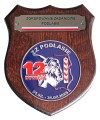 Ryngraf ZZ Podlasie 12 Dywizja