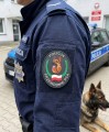 Naszywka Przewodnik Psa na mundurze